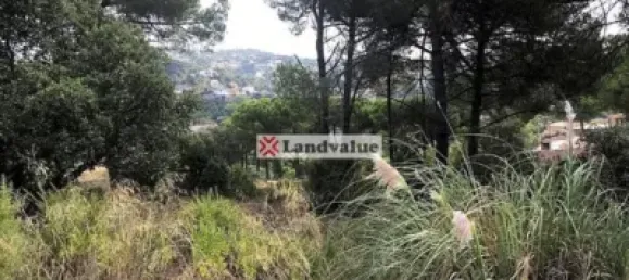 Земельный участок 732м² в Видререс, Испания № 144307 12