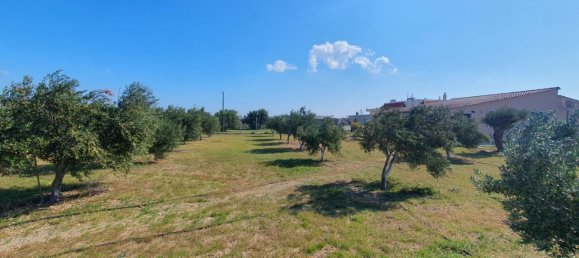 335m² Property in Ierapetra, Greece No. 3415 8