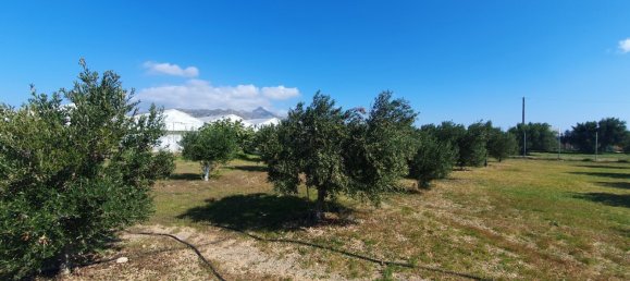 335m² Property in Ierapetra, Greece No. 3415 9