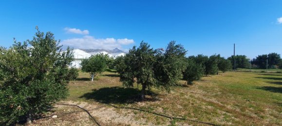 Property in Ierapetra, Greece 335m², Nr. 3415 9