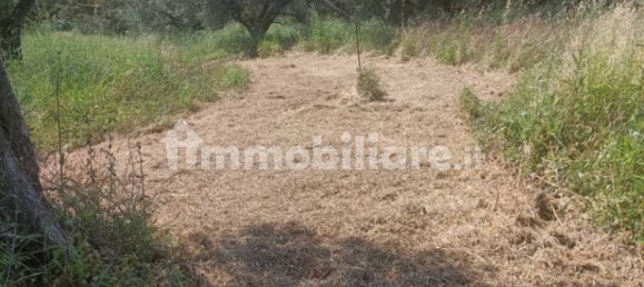 12000m² Land in Spoltore, Italy No. 343612 27