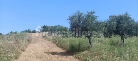 12000m² Land in Spoltore, Italy No. 343612 25