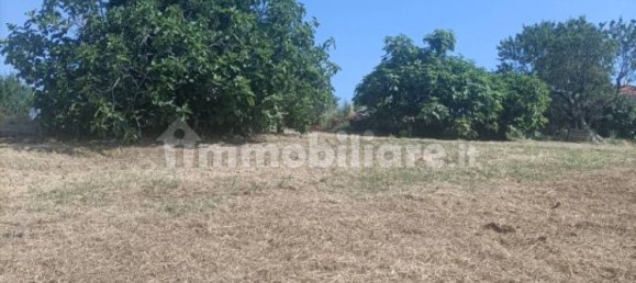 12000m² Land in Spoltore, Italy No. 343612 21