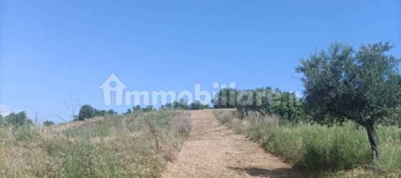 12000m² Land in Spoltore, Italy No. 343612 26