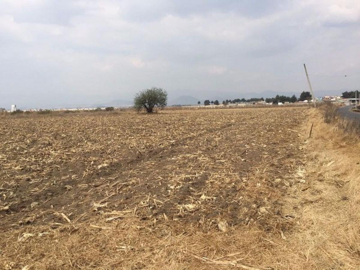 Terreno em Mexico N.º 203782