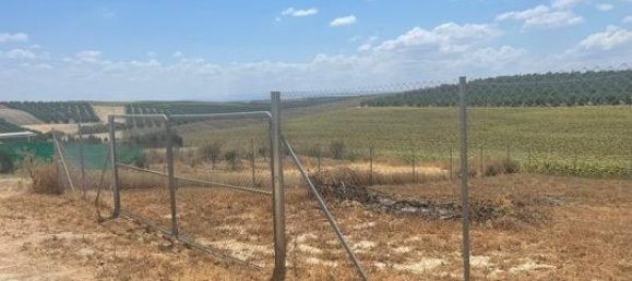 Terreno en Córdoba, Spain 500 m² No. 186691 7