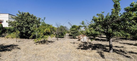 4 rooms Villa in Noto, Italy No. 282403 22