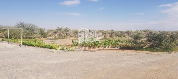5 bedrooms Farm in Ras Al Khaimah, UAE No. 107332 2