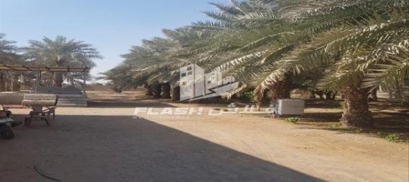 5 bedrooms Farm in Ras Al Khaimah, UAE No. 107332 7