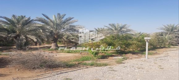 5 bedrooms Farm in Ras Al Khaimah, UAE No. 107332 4