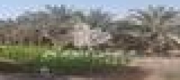 5 bedrooms Farm in Ras Al Khaimah, UAE No. 107332 3