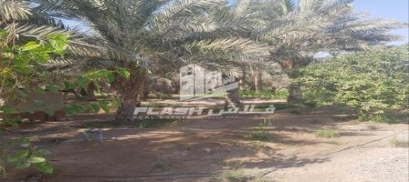 5 bedrooms Farm in Ras Al Khaimah, UAE No. 107332 5