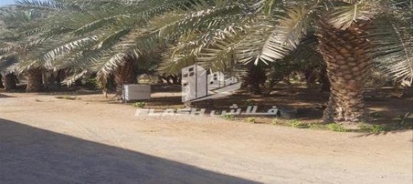 5 bedrooms Farm in Ras Al Khaimah, UAE No. 107332 6