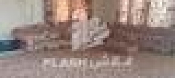 5 bedrooms Farm in Ras Al Khaimah, UAE No. 107332 14