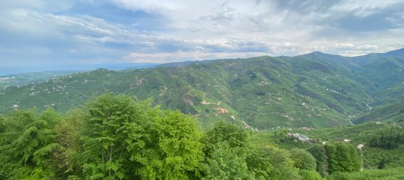 Villa 5+3 in Yomra, Turkey No. 20809 3