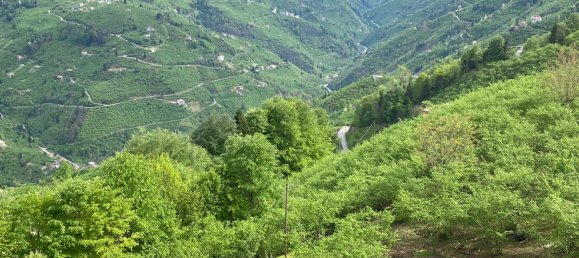 Villa 5+3 in Yomra, Turkey No. 20809 23