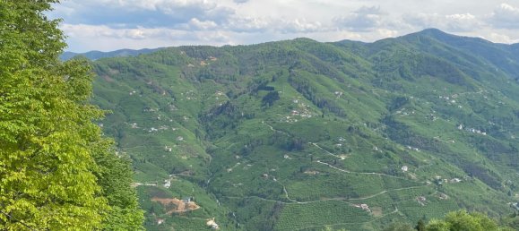 Villa 5+3 in Yomra, Turkey No. 20809 15