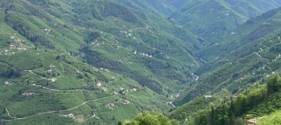 Villa 5+3 in Yomra, Turkey No. 20809 18