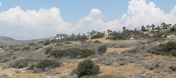 3 bedrooms Apartment in Limassol, Cyprus No. 1776 7