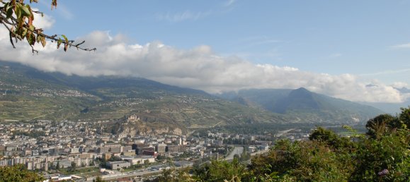 1110m² Land in Salins, Switzerland No. 323 12