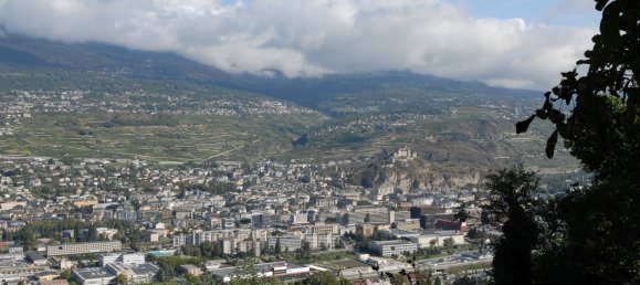 1110m² Land in Salins, Switzerland No. 323 2