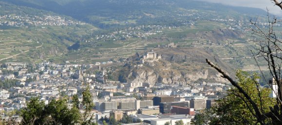 1110m² Land in Salins, Switzerland No. 323 4