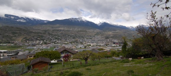 1110m² Land in Salins, Switzerland No. 323 9