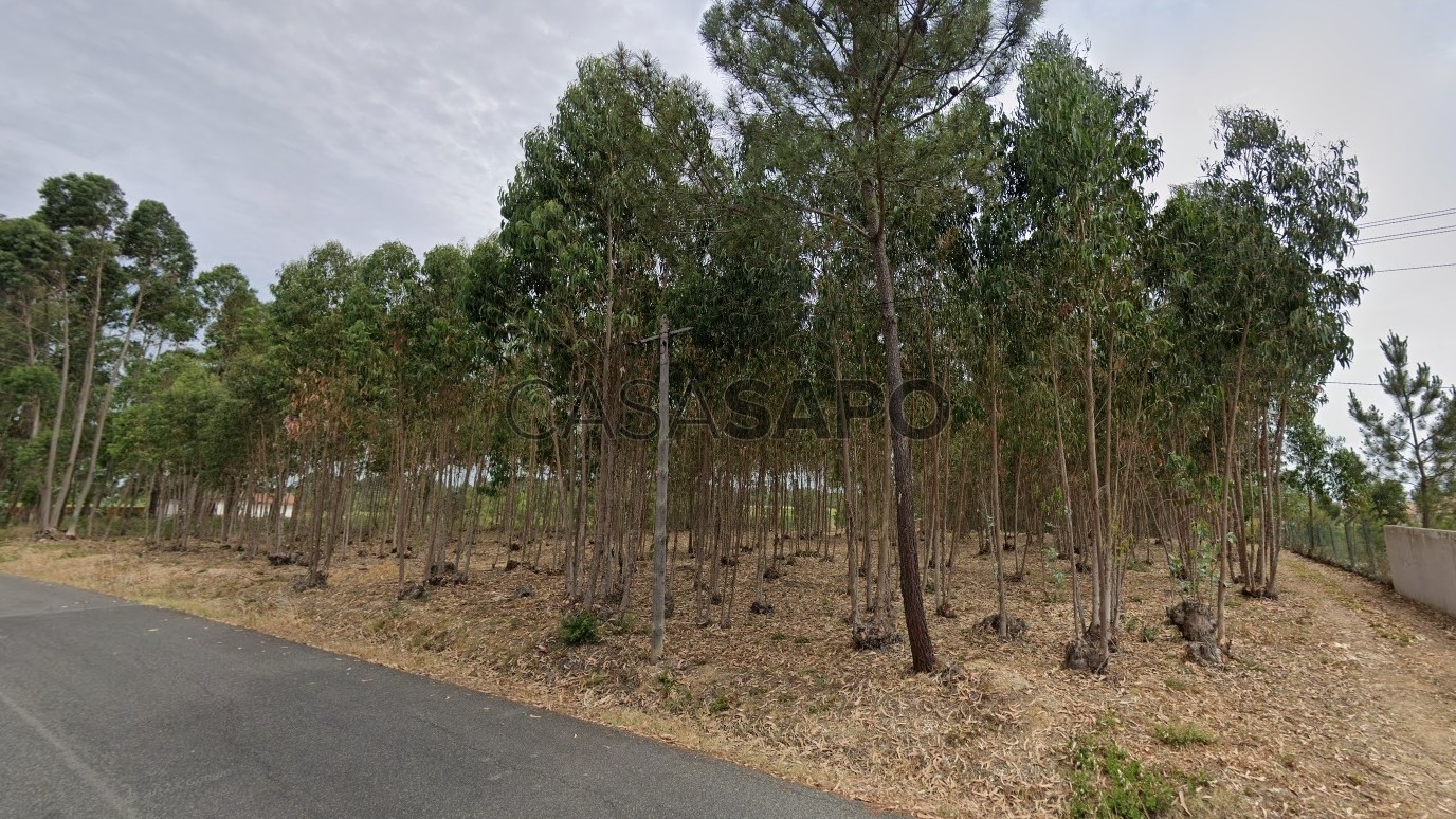 12000m² Land in Cartaxo, Portugal No. 340066