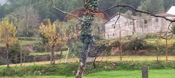 1 bedroom House in Cabril, Portugal No. 172464 2