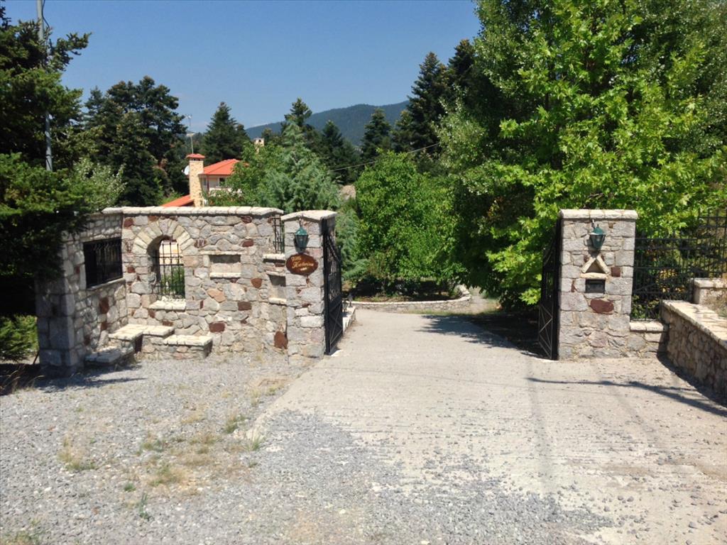 234m² Property in Boeotia, Greece No. 4769