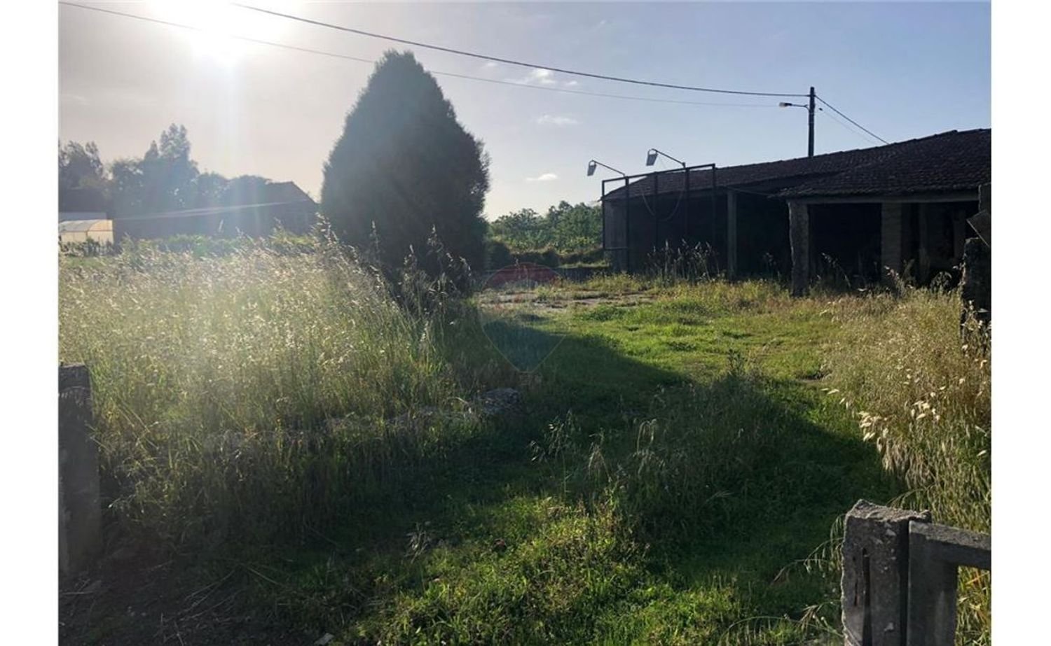 3 غرف نوم منزل في Pombal, Portugal رقم 30546