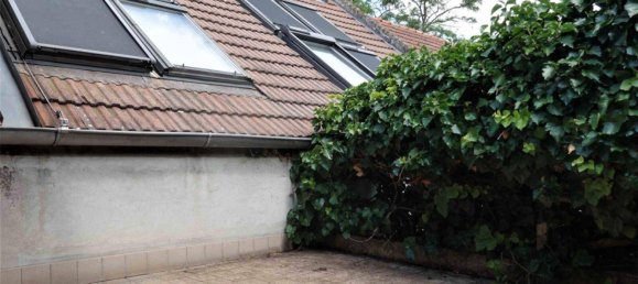 16 rooms House in Gols, Austria No. 153828 18