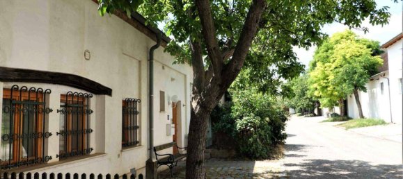 16 rooms House in Gols, Austria No. 153828 20