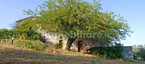 14 bedrooms House in Castelnuovo Berardenga, Italy No. 102995 27