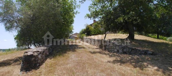 14 bedrooms House in Castelnuovo Berardenga, Italy No. 102995 16