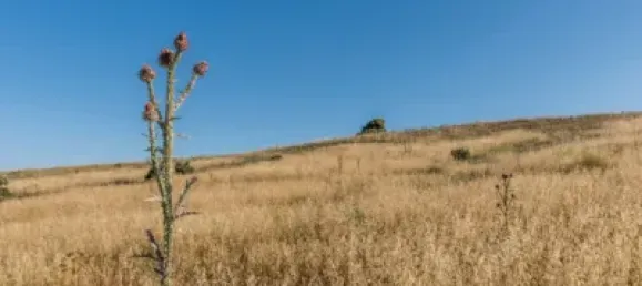  Land in Navalcarnero, Spain No. 113240 20