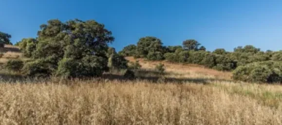  Land in Navalcarnero, Spain No. 113240 14