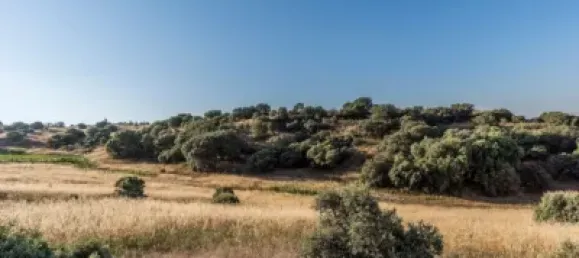  Land in Navalcarnero, Spain No. 113240 26