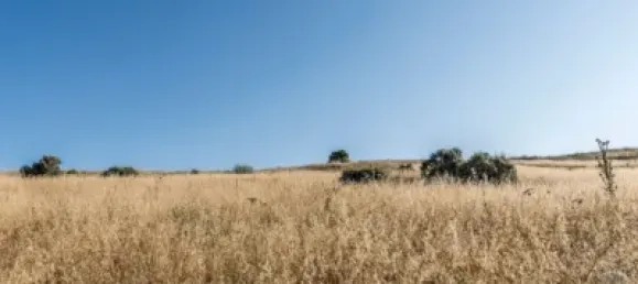  Land in Navalcarnero, Spain No. 113240 19