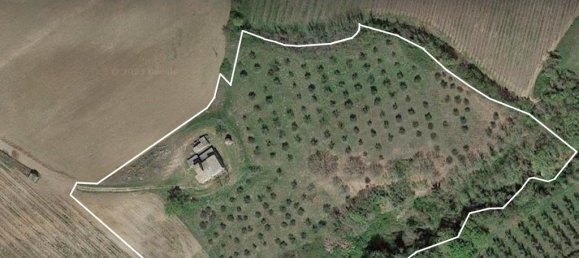 5 Schlafzimmer Haus in Orvieto, Italy, Nr. 73104 15