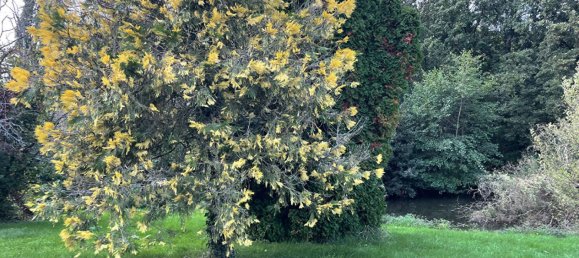 Дом с 3 спальнями в Ла-Ферьер, Франция № 52777 14