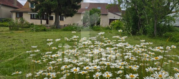 5 bedrooms Villa in Indre, France No. 64483 3