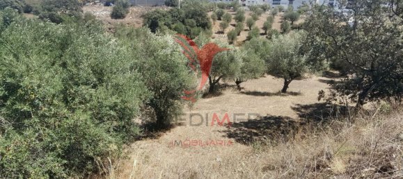 Terreno em Alcanena, Portugal 620 m² N.º 62238 15