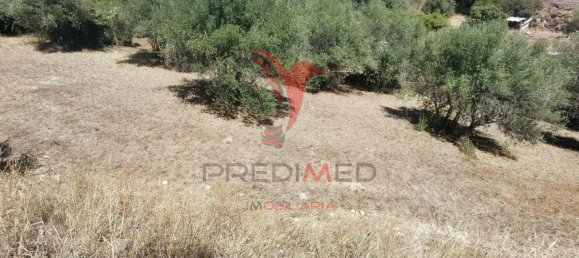 Terreno em Alcanena, Portugal 620 m² N.º 62238 17