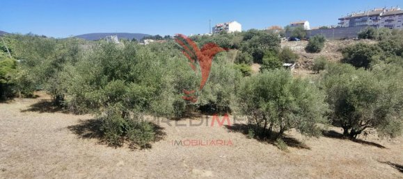 Terreno em Alcanena, Portugal 620 m² N.º 62238 13