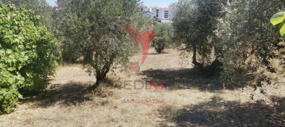 Terreno em Alcanena, Portugal 620 m² N.º 62238 11