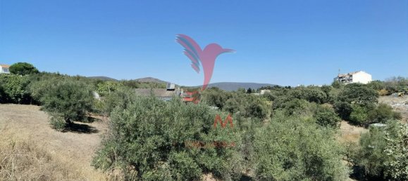 Terreno em Alcanena, Portugal 620 m² N.º 62238 19