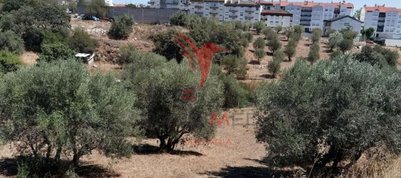 Terreno em Alcanena, Portugal 620 m² N.º 62238 7