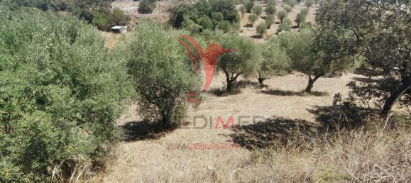 Terreno em Alcanena, Portugal 620 m² N.º 62238 16