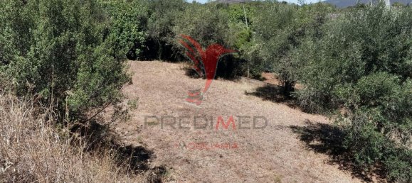 Terreno em Alcanena, Portugal 620 m² N.º 62238 6